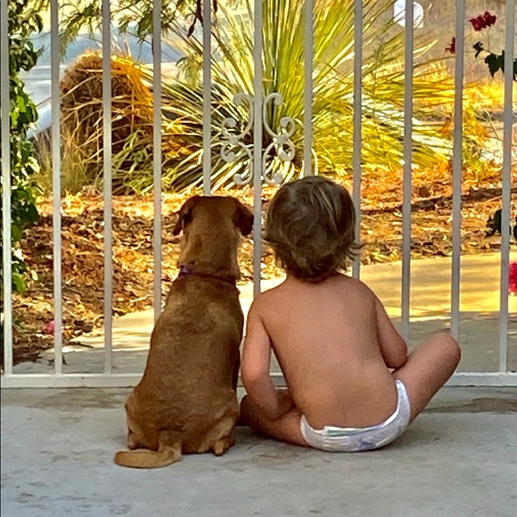 Meet your Posher, Michelle - Picture 13 of 16